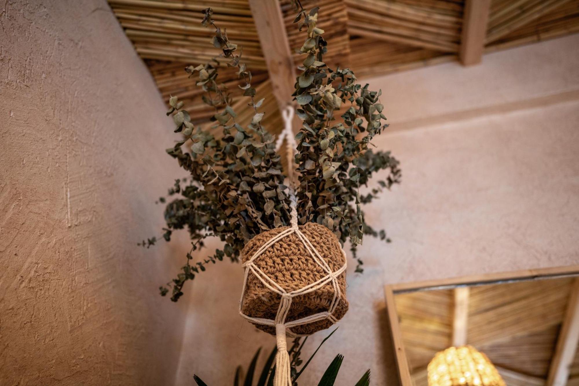Biophilia Luxury Lofts *