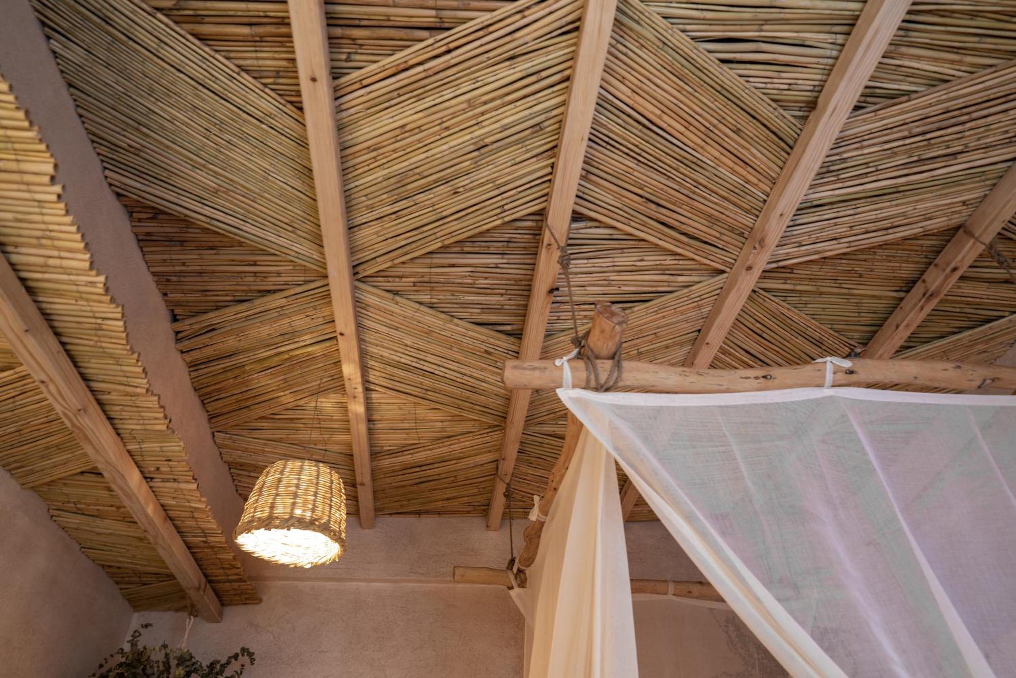 Biophilia Luxury Lofts