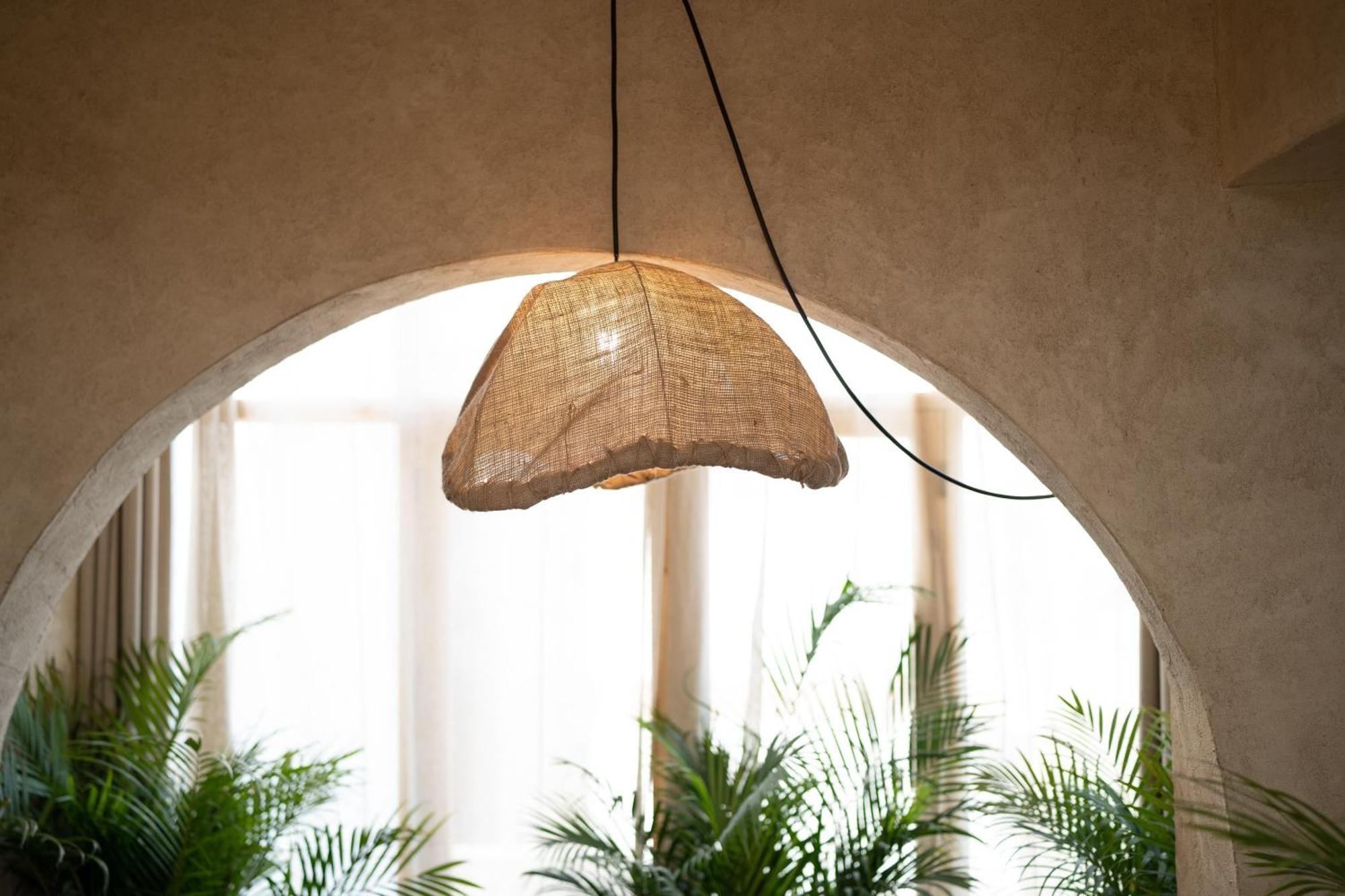 Biophilia Luxury Lofts Apartment
